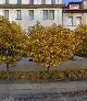 INA. Zarządca wspólnot mieszkaniowych